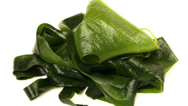 تحافظ طحالب البحر على توازن البشرة ونعومتها