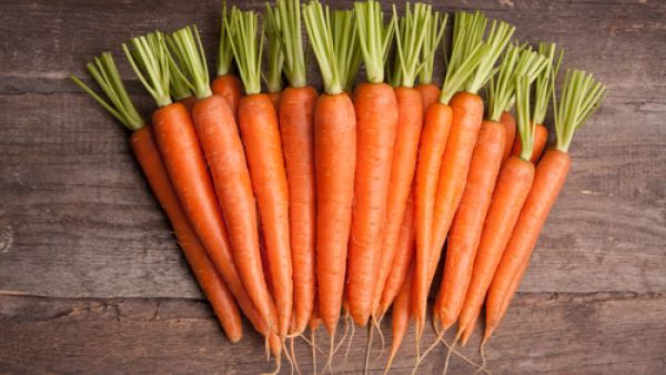 يعمل الجزر على تطهير المعدة والحماية من التسمم
 يعمل الجزر على تطهير المعدة والحماية من التسمم