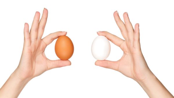 إذا كان البيض يفسد بسرعة فهو ناتج عن سوء التخزين
 إذا كان البيض يفسد بسرعة فهو ناتج عن سوء التخزين