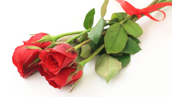 لكل وردة هوية متفردة ومتميزة عن غيرها