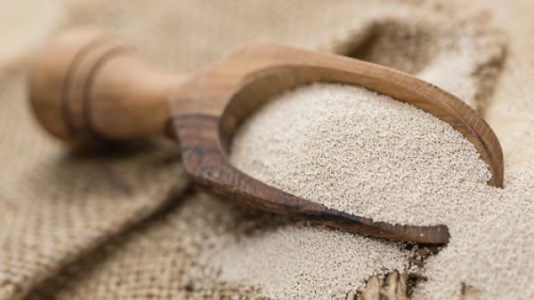 تساعد خميرة البيرة في علاج الرؤوس السوداء

