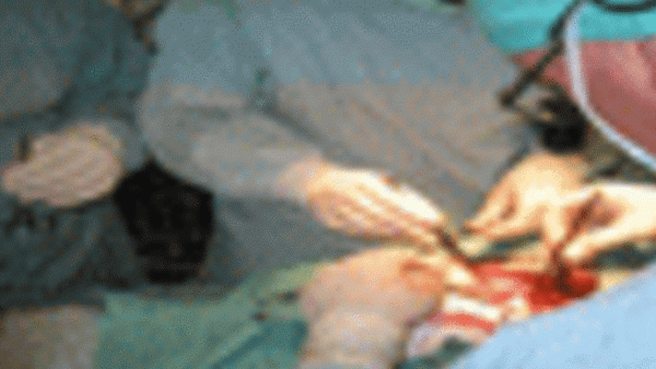 According to Mani, then-Crown Prince Fahd invited Khashoggi, Shahin, and Mani to the clinic. There, they discussed various global issues, the conversation was held in English. “Fahd was a very friendly host,” Mani said