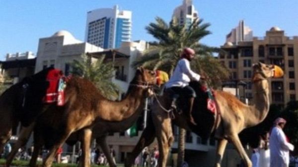 A safer form of transport on the UAE's National Day 
