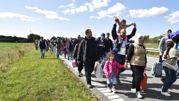 Migrants, mainly from Syria, walk on a highway near Rodby, Denmark on September 7, 2015 toward Sweden, where they hope to seek asylum (AFP/Bax Lindardt)