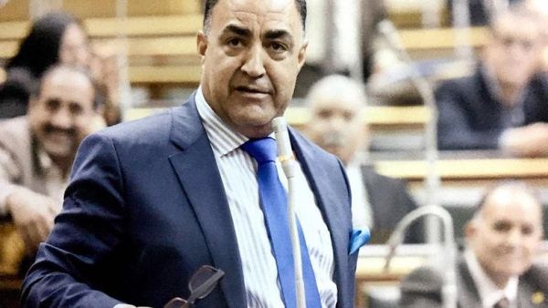 Member of Parliament Elhamy Agina. (AFP/File)