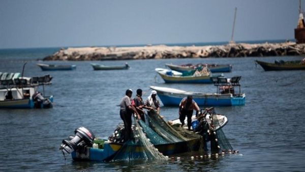Palestinian fishermen collect their catch off the coast of Gaza City on July 6, 2014. (AFP/Mahmud Hams)