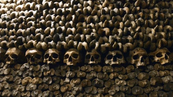 Skulls seen in Parisian catacombs. (AFP/File)