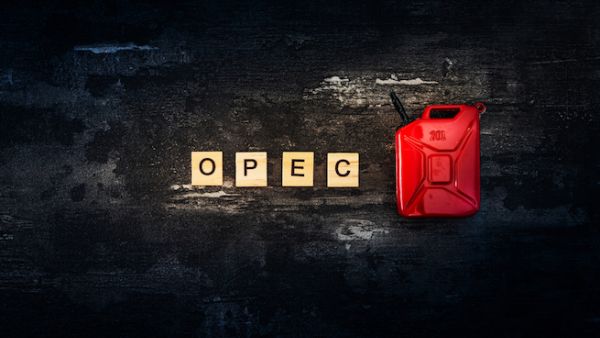 "Examining the reasons for Qatar’s exit from OPEC is a necessity,” Zanganeh said, adding that “OPEC has big problems from some oil producers which Qatar is not a part of.” (Shutterstock)