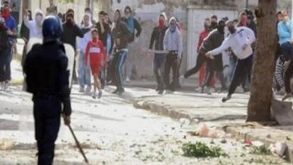 عصفور كان دخل في حالة الخطر نتيجة نزيف في دماغه