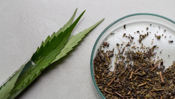 (Shutterstock/ File Photo)