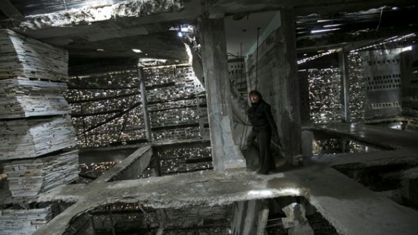 Dutch artist Marjan Neeuwen stands inside the destroyed Gaza home she reconstructed into an art installation. (AFP/Said Khatib)