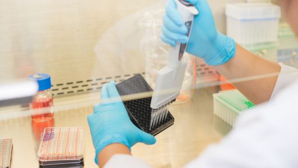 (Shutterstock/File Photo)