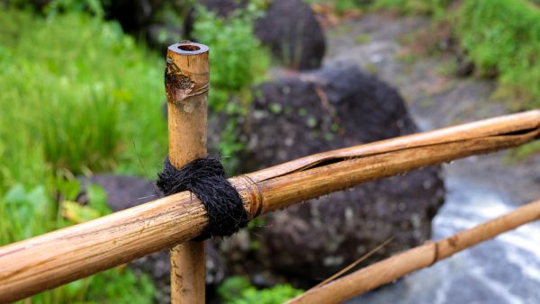 (Shutterstock/File Photo)