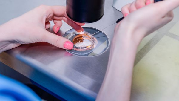 (Shutterstock/ File Photo)