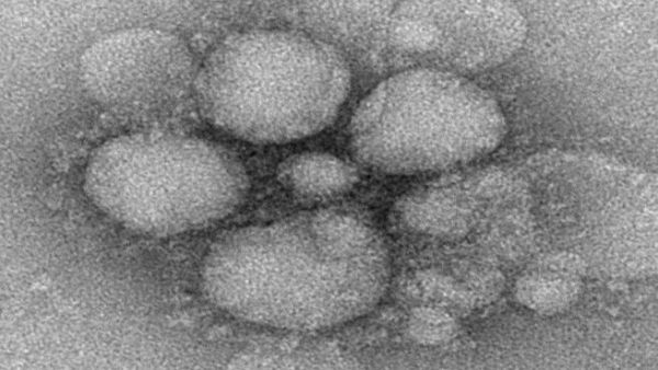 (Source: US Department of Health and Human Services)