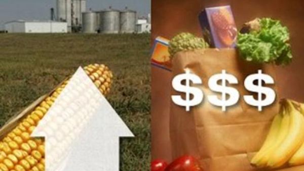 Countries with lower income levels would be impacted by inflation more than other countries because with a lower income a larger portion is spent on food Countries with lower income levels would be impacted by inflation more than other countries because with a lower income a larger portion is spent on food