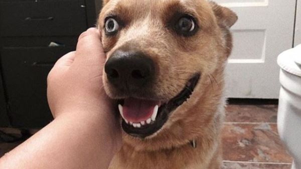 (Matt Hardin/ Instagram)