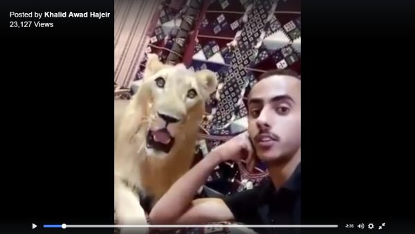 Al-Daghiri poses with one of his pets (Facebook)