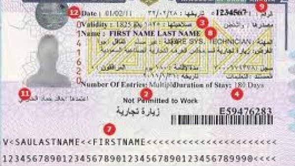 Permanent residency applications would be open to those with require specific academic qualifications and professional skills, while investors will need sufficient capital funds. (Visa Guide)