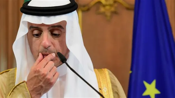 The Saudi-backed HNC has long insisted political transition means the departure of Assad. (AFP) 