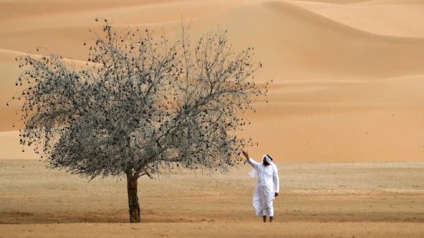 Haller said the Kingdom is “blessed abundantly with sun and wind,” and commended the Saudi government for taking bold steps to introduce renewables to the local energy portfolio. (AFP)