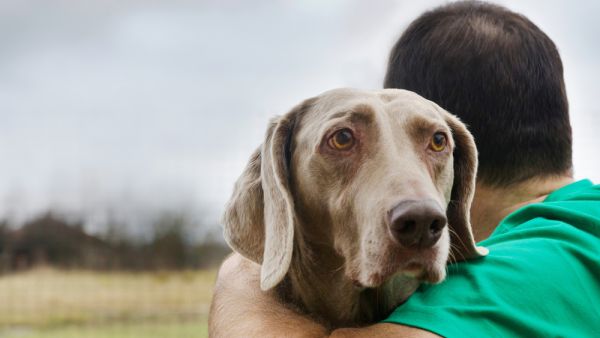 (Shutterstock/ File Photo)