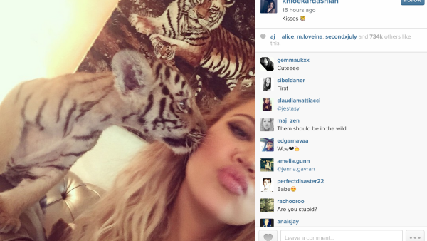 Khloe's selfie with the cute tiger cub in Dubai. (Instagram)