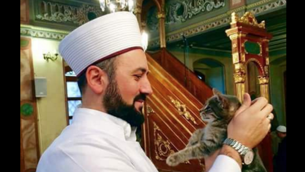 We wrote a post about people being cute with cats and we are not ashamed. (Twitter)