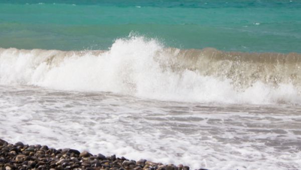 زبد البحر يخلّص الوجه من التجاعيد كما يزيل الكلف