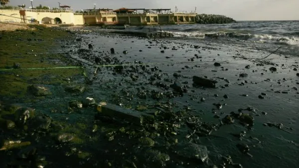 Greenpeace study detected lead, copper and manganese in the pipe's spilling target area: and also traces of deadly bacteria, including Salmonella, but Unipack attributes this to the municipality's disposal of human and animal waste.




