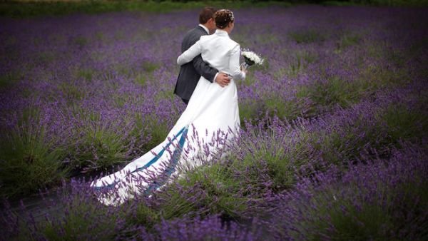 Comparing the romantic idyll so many of us are raised with to the sobering reality