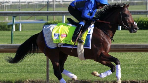 Thunder Snow will defend his title in the $12 million World Cup. File Photo by John Sommers (Photo: UPI)