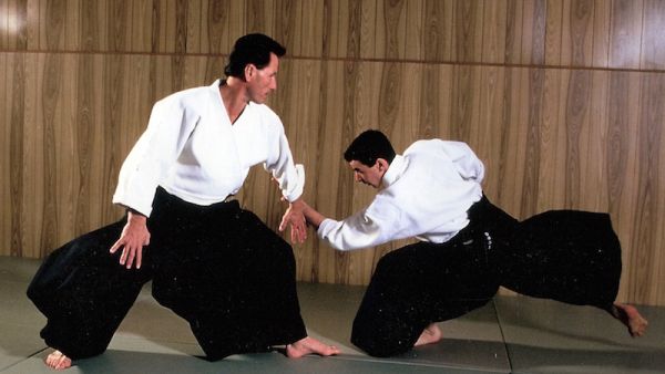 Aikido (Photo: aikikaiaikidomushinkan.com)
