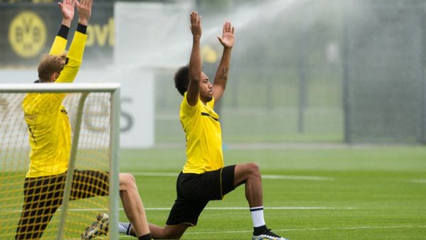 Why is pre-season so important? We find out from a Sport Scientist's point of view 