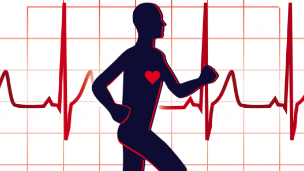 The study results showed exercise is an important component of overall health and is critically important in the fight against obesity, especially during the juvenile period