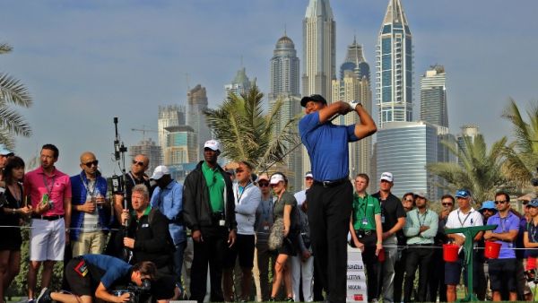 Dubai gripped by the Tiger Effect
