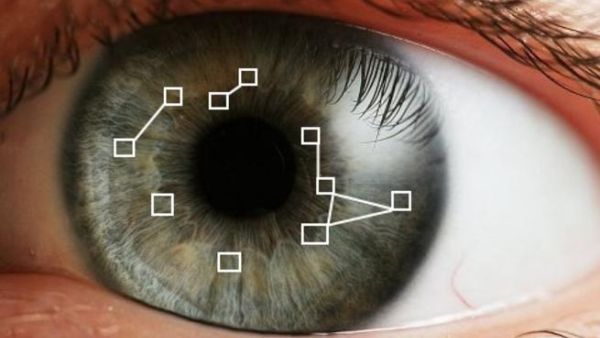 Iris scanners could be used at airports, border crossings, and other security checkpoints, in the search for criminals and terror suspects. [amazonaws]