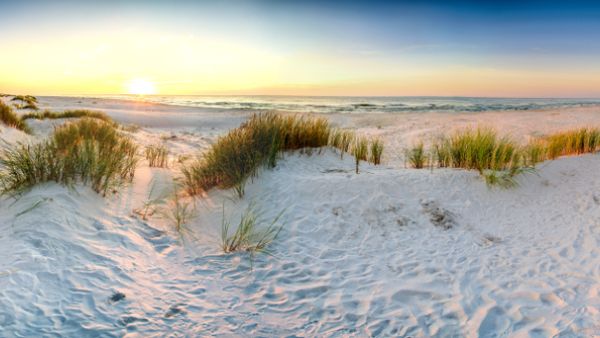 (Shutterstock/ File Photo)