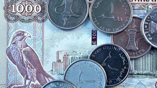 The string new legislations, some which were issued in October, include the netting law, public debt law, anti money laundering law, and central bank law, as well as risk management and internal audit and control and dormant accounts regulations. (Shutterstock)