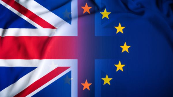 Agricultural products, chemical engineering products, furniture, and garments are some of the most important Egyptian exports to Britain. (Shutterstock)

