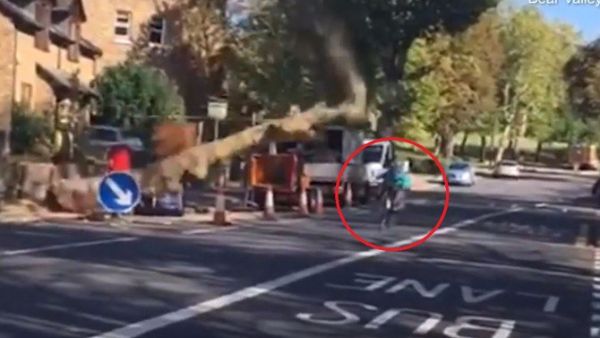 The moment a cyclist narrowly misses being crushed to death by a falling tree on a South London road. (YouTube)