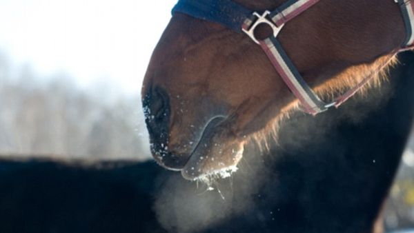 (Shutterstock/ File Photo)