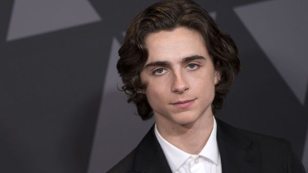 Actor Timothee Chalamet at the Governors Awards in Los Angeles November 2017. (AFP/File)
