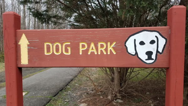 UAE is taking a big step in favor of all the dog lovers. How’s that, you say? Well, by building the Pawesome Park, of course. /Shutterstock.