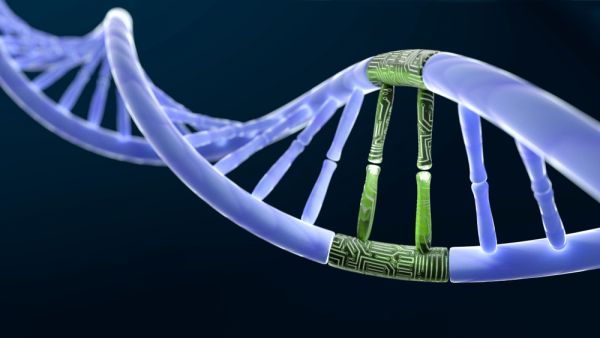 (Shutterstock/ File Photo)