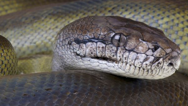 (Shutterstock/ File Photo)