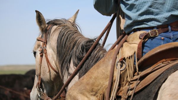 (Shutterstock/ File Photo)