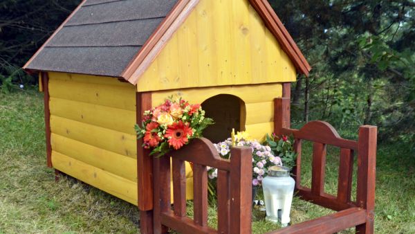 Grave of an animal. (Shutterstock/ File Photo)