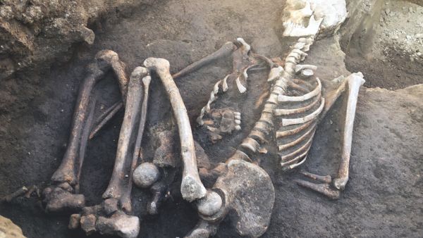 (Shutterstock/ File Photo)