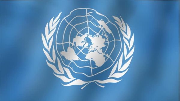 The United Nations flag. (Shutterstock)
